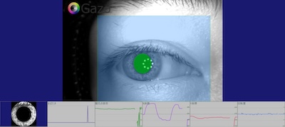 眼球運動解析システム